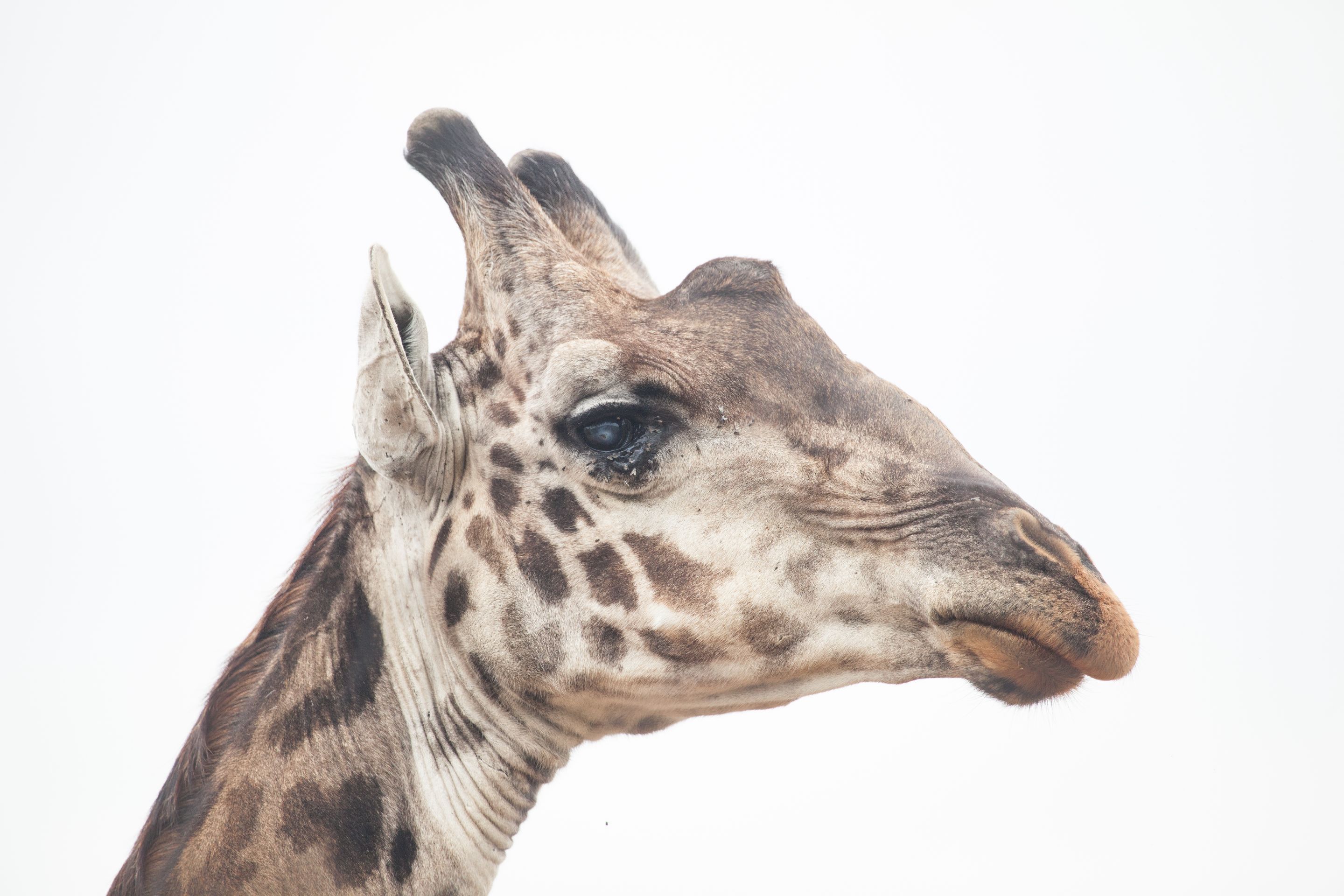 Day 3 Mara (23 of 44).jpg