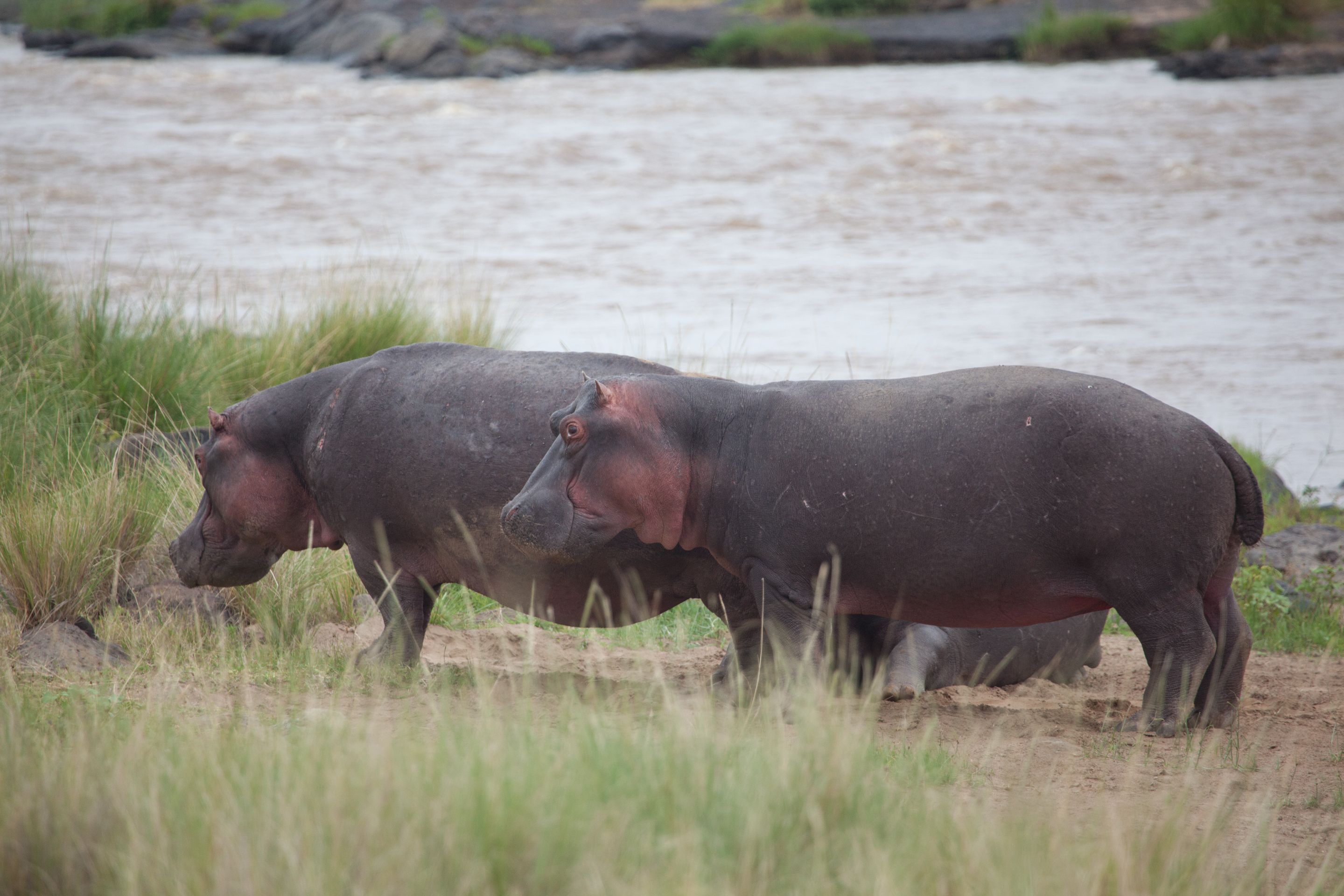 Day 3 Mara (29 of 44).jpg