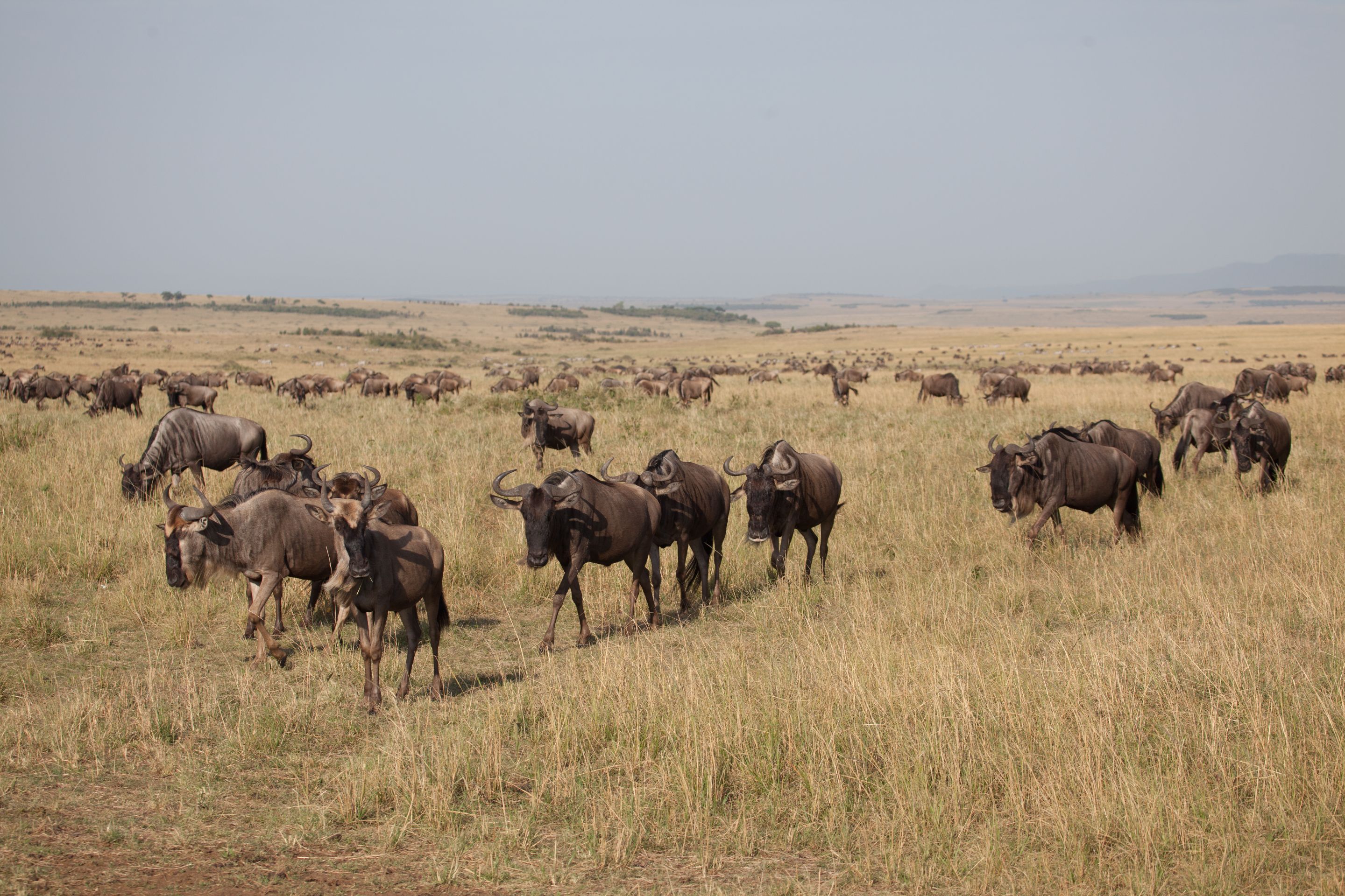 Day 2 Mara (55 of 117).jpg