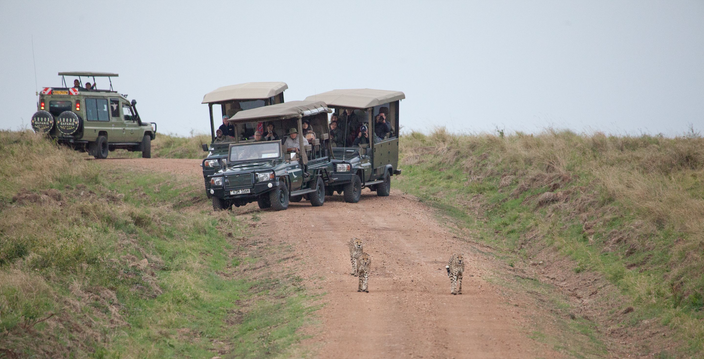 Day 2.5 Mara (3 of 29).jpg