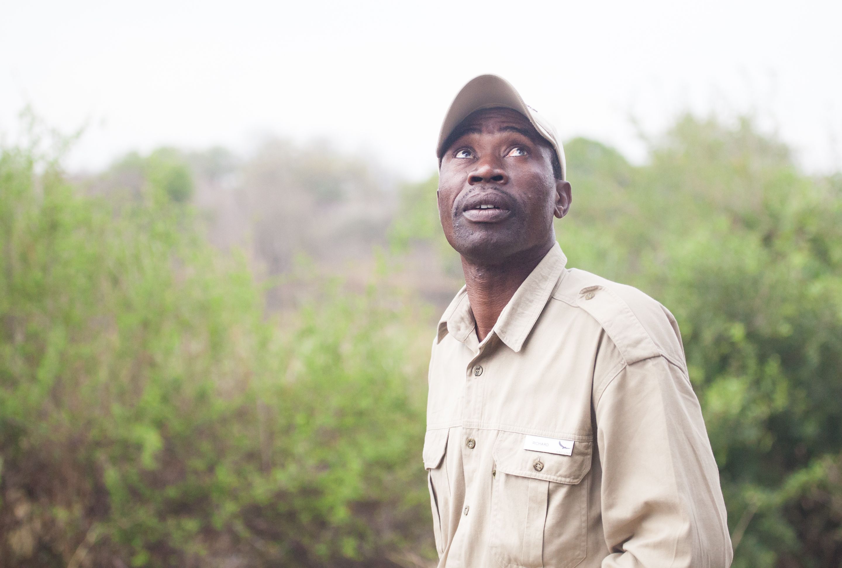 Day 12 SabiSands (11 of 43).jpg