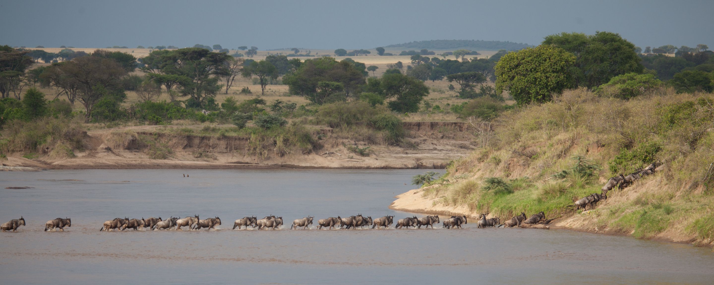Day 5 Serengeti (27 of 65).jpg
