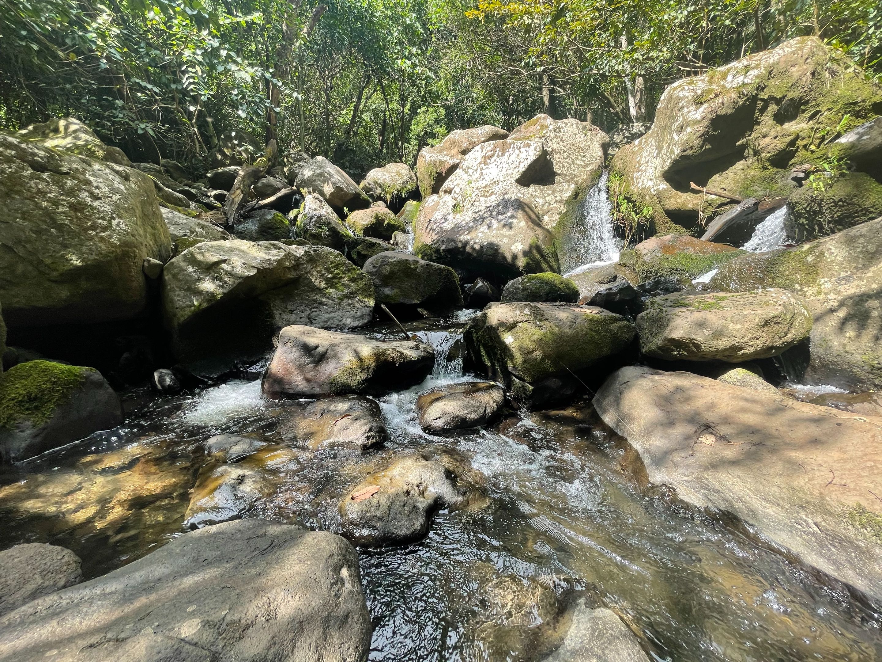 IMG_6294.JPG