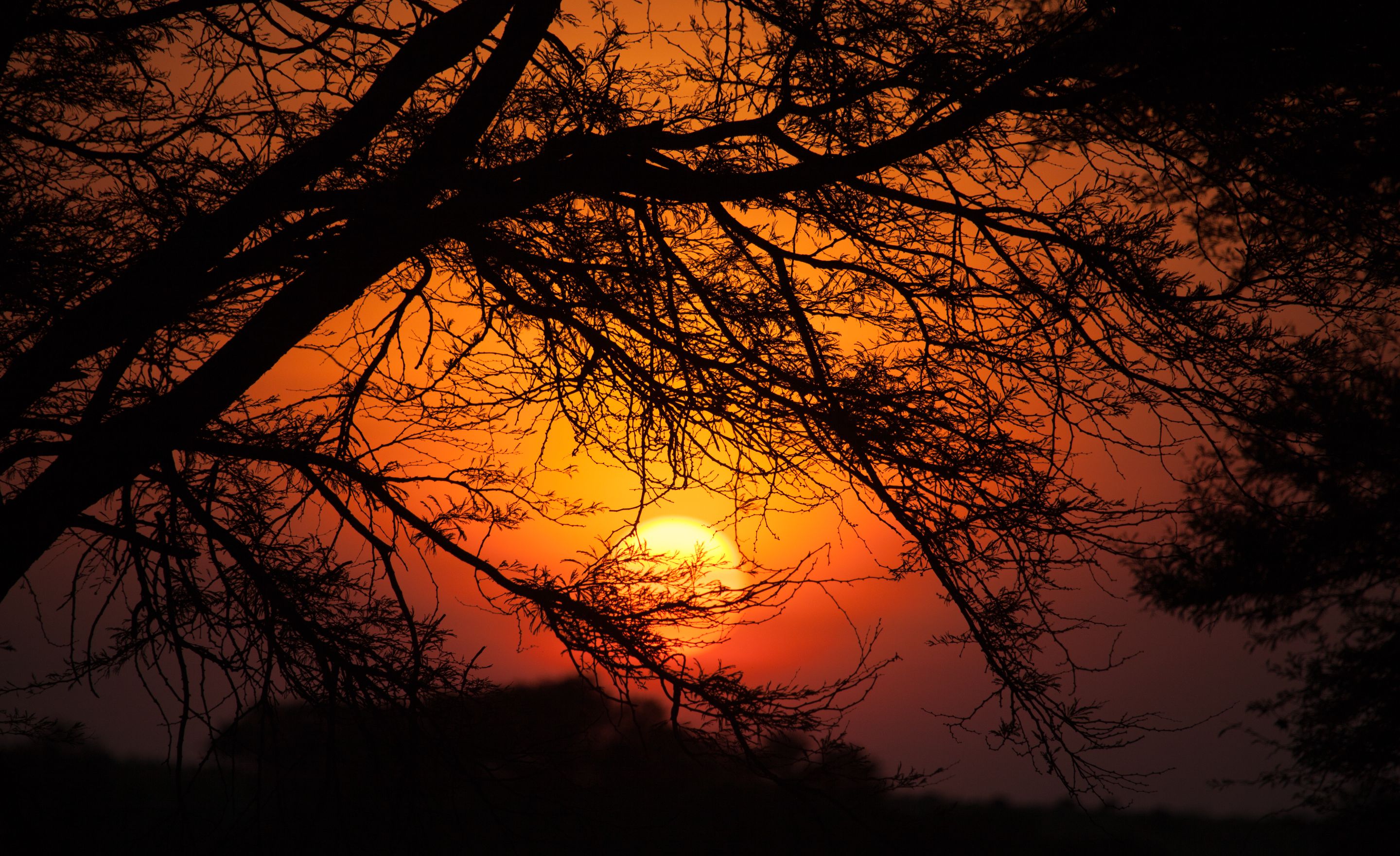 Day 7 Lake Manyara (20 of 103).jpg