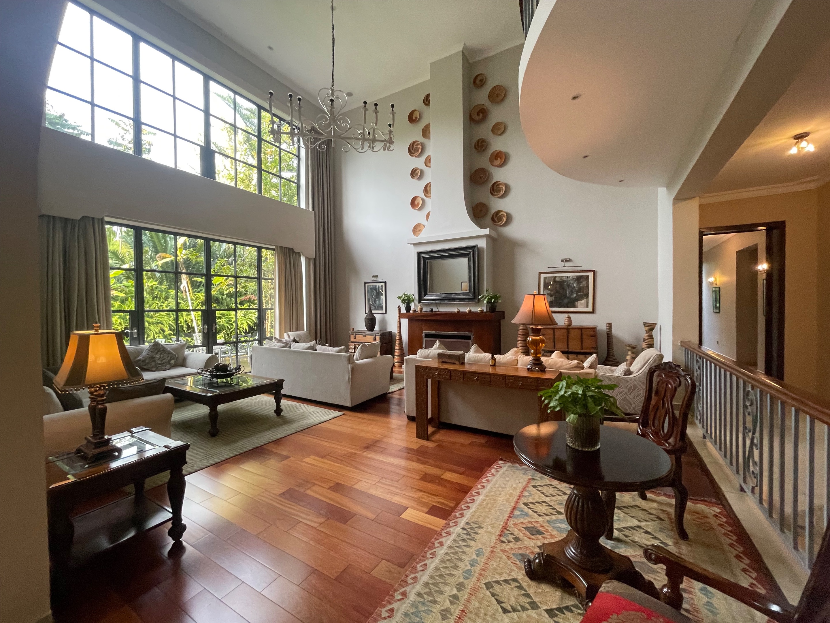 Day 10 Gorillas (12 of 61).jpg