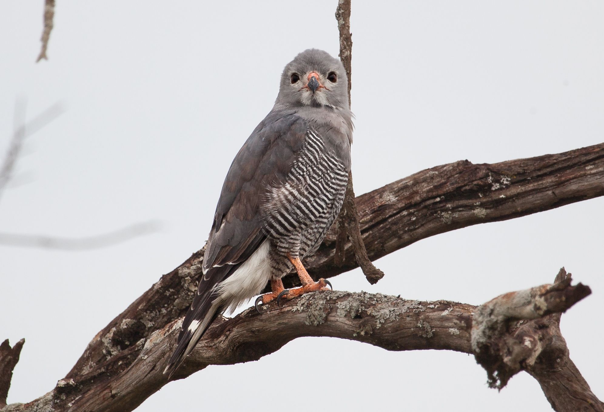 Day 3 Mara (35 of 44).jpg