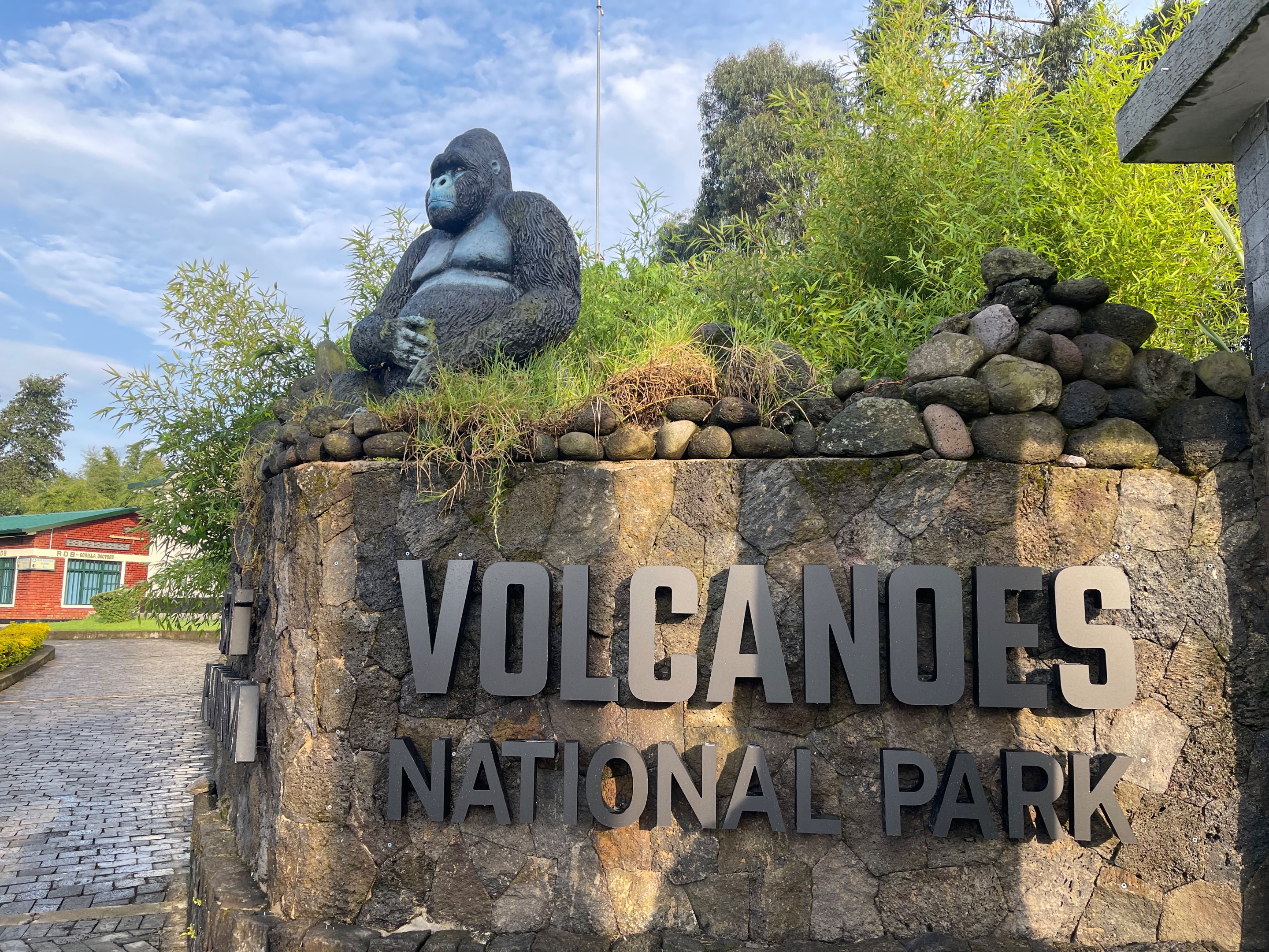 Day 10 Gorillas (32 of 61).jpg