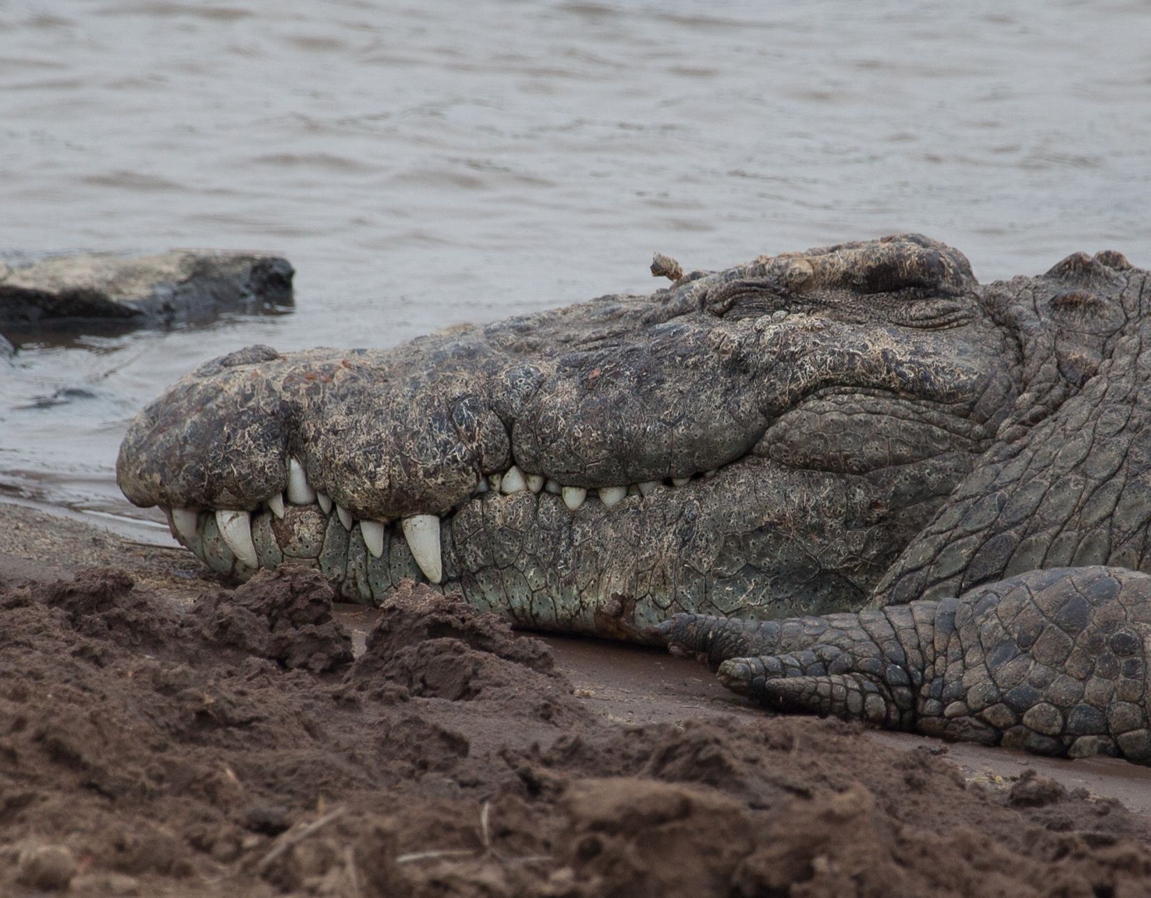 Day 3 Mara (26 of 44).jpg