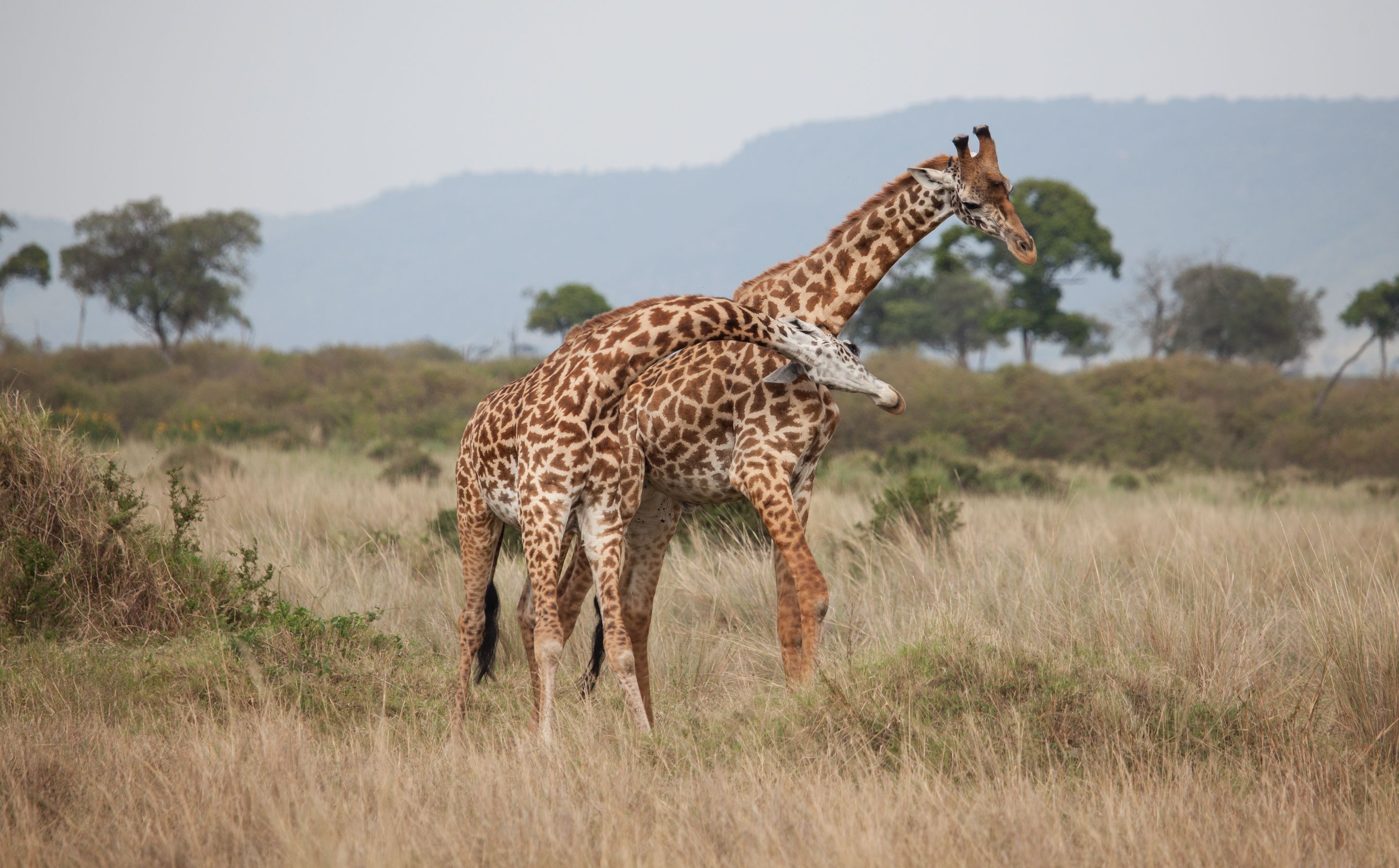 Day 3 Mara (3 of 44).jpg