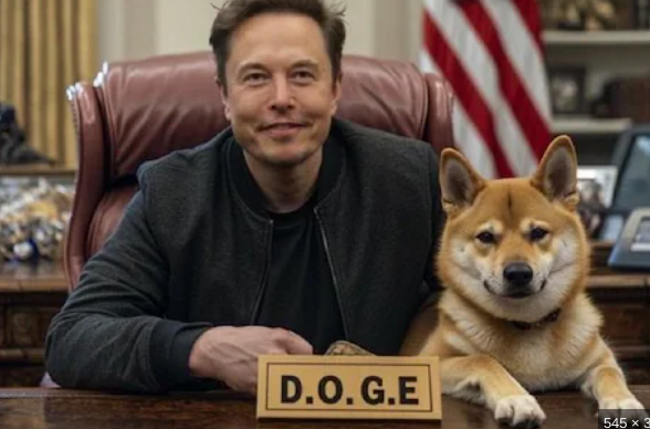 image.png/