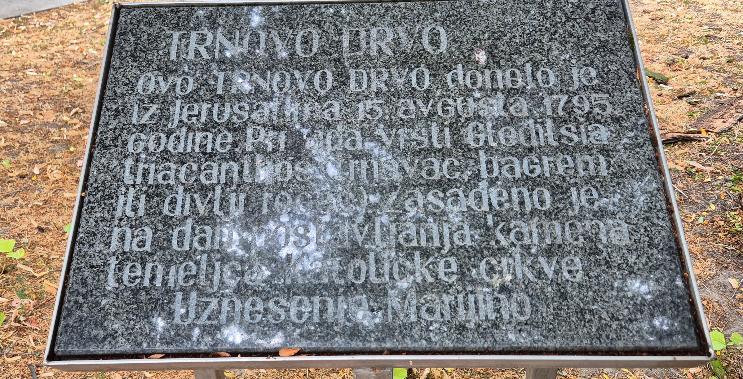1000029521.jpg