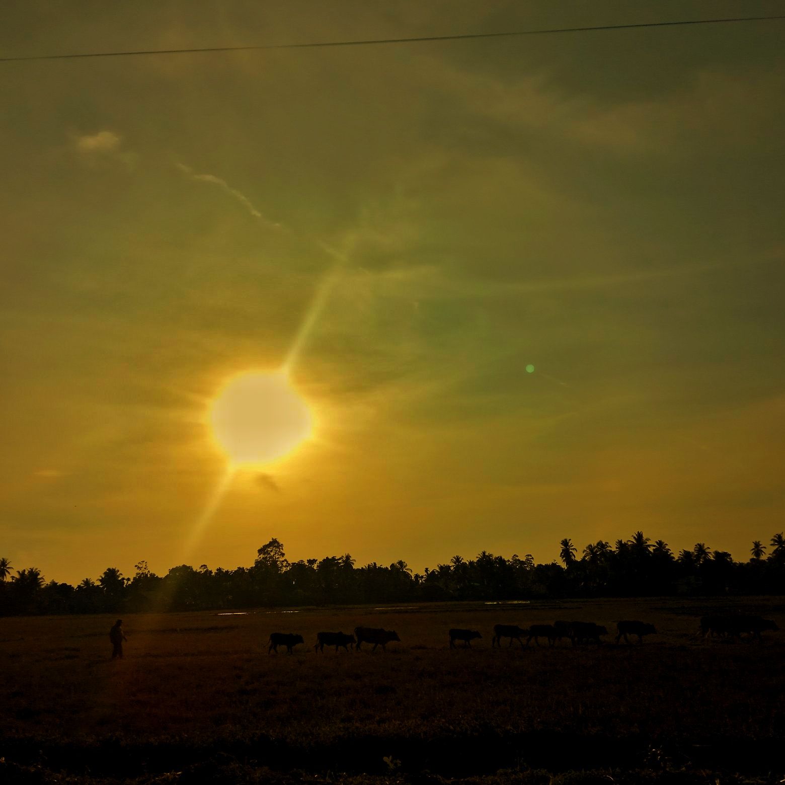 IMG-20211027-WA0009-01.jpeg