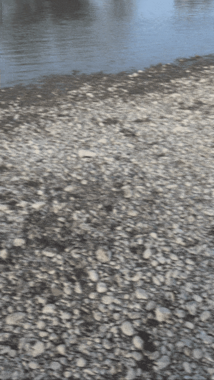 1000016816.gif