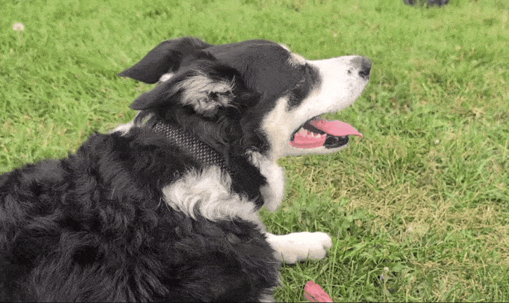 1000016908.gif