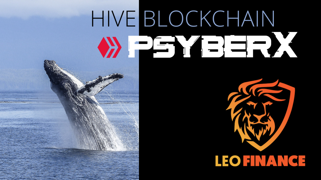 @dynamicrypto/psyberx-updates-leoglossary-collaboration-and-marketplace-open