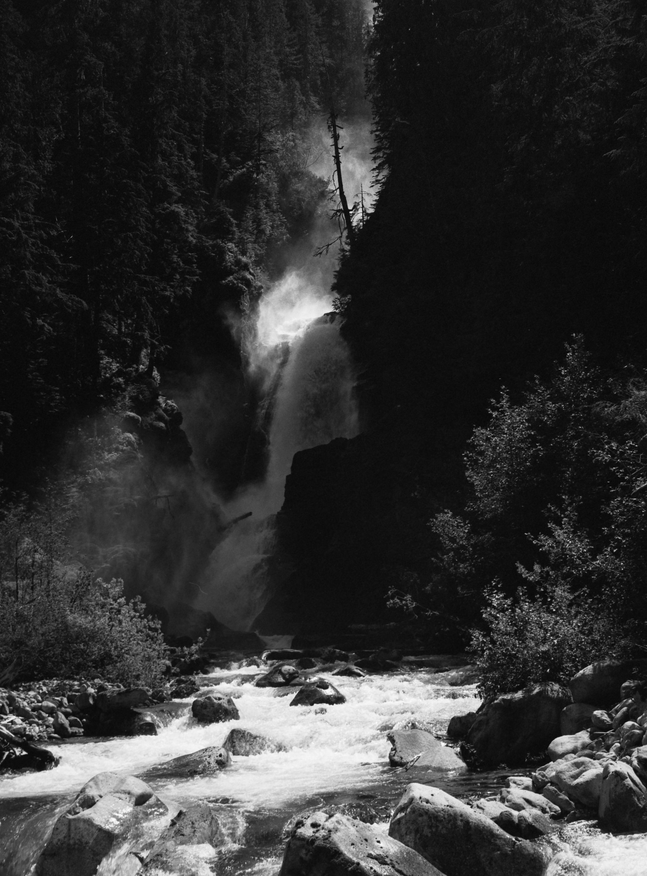 GSW645 - TriX400 - 002.jpg