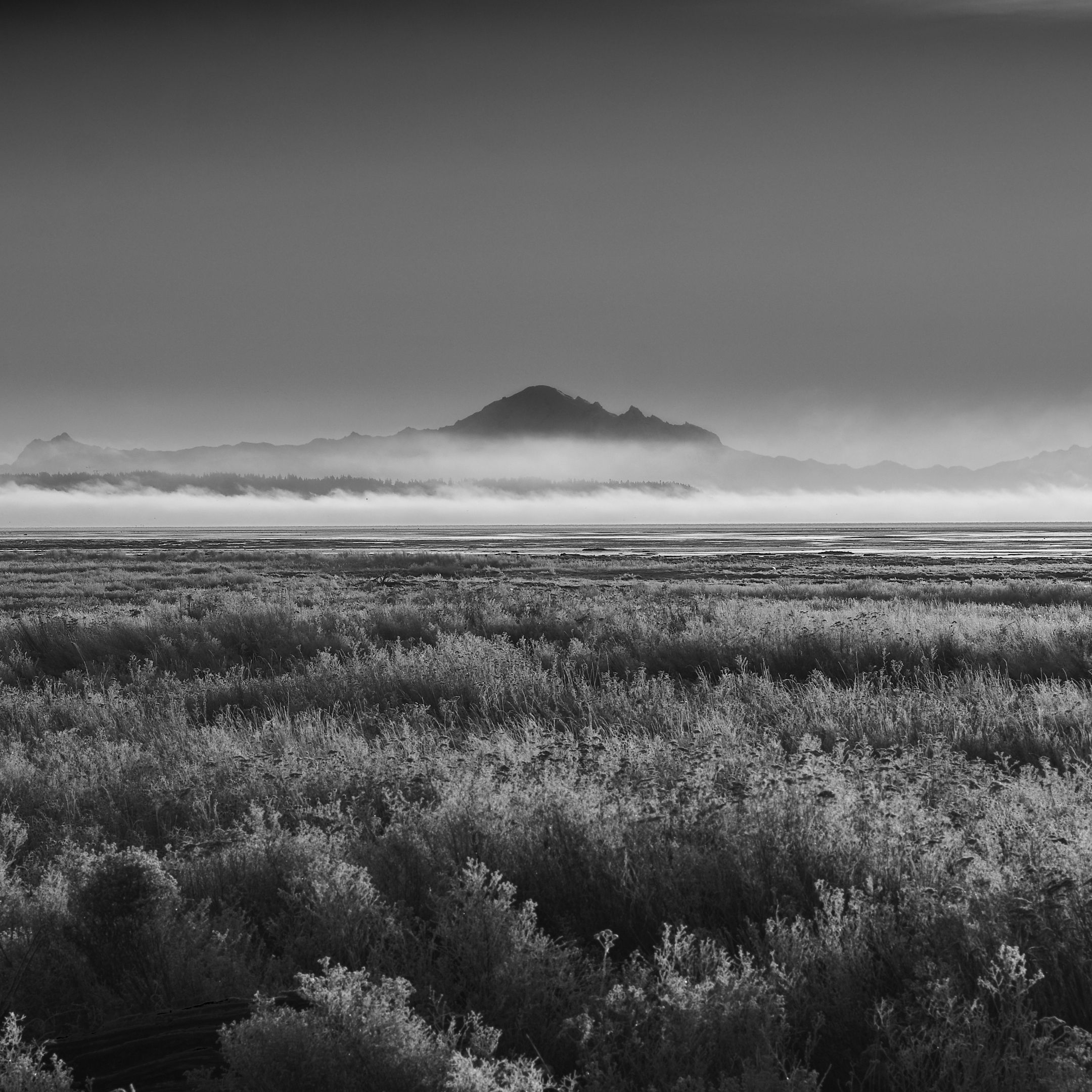 FUJI1111.jpg