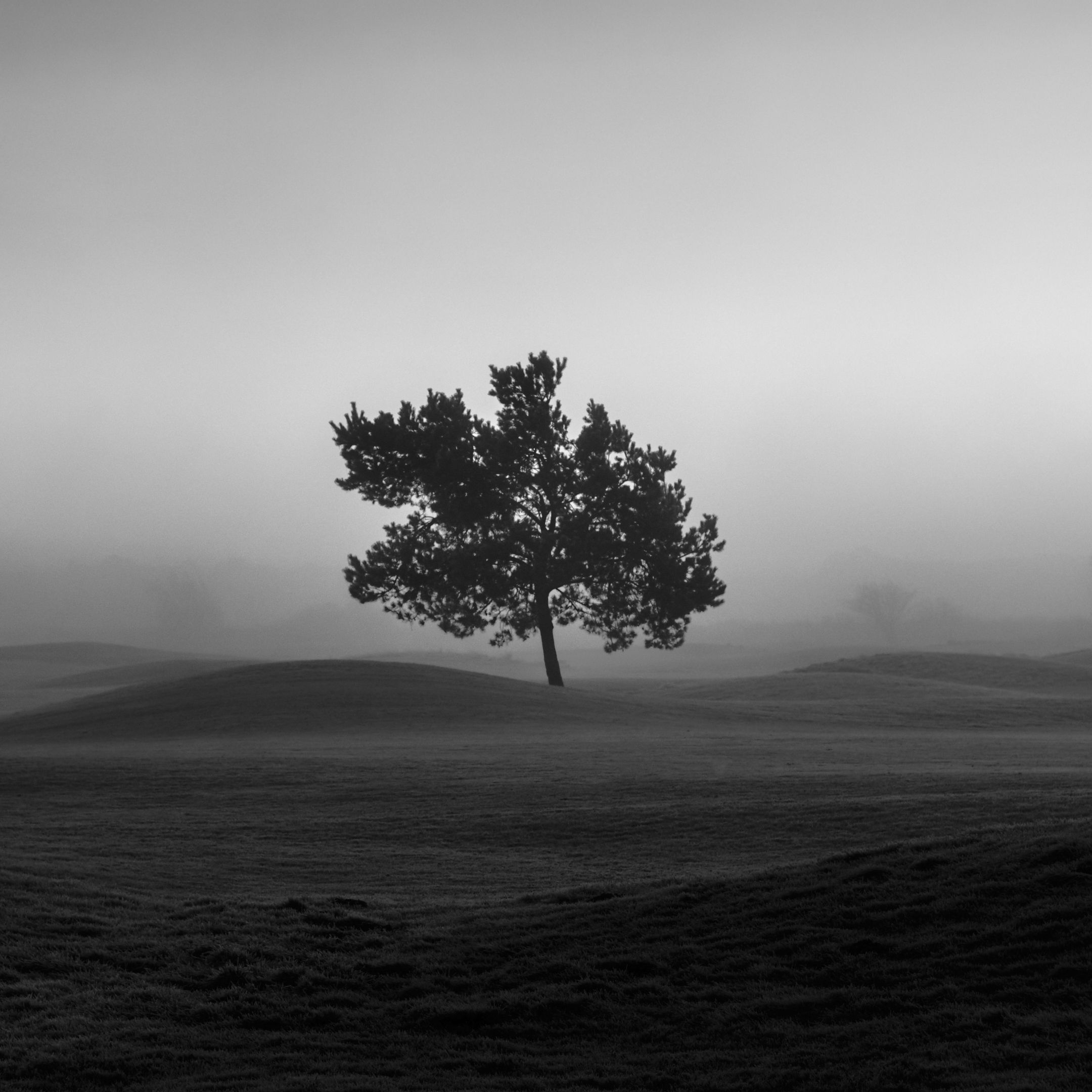 FUJI1070.jpg