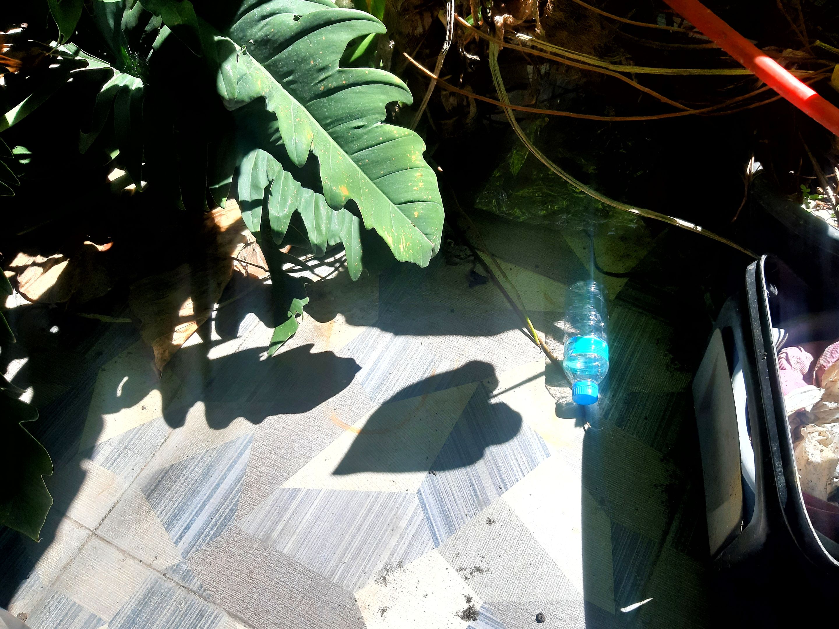 20241128_111035-01.jpeg