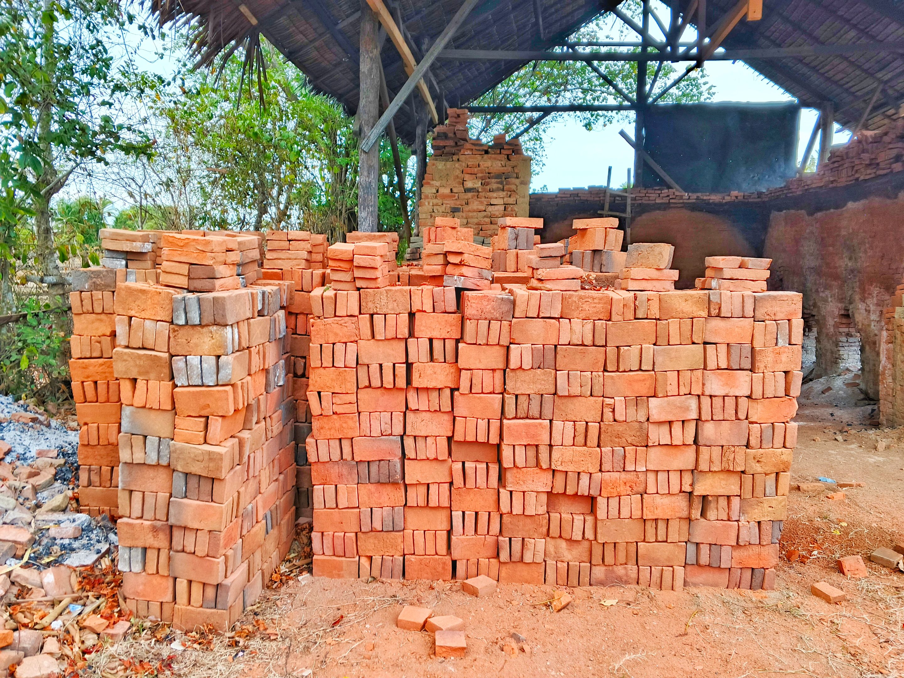 1000081975.jpg