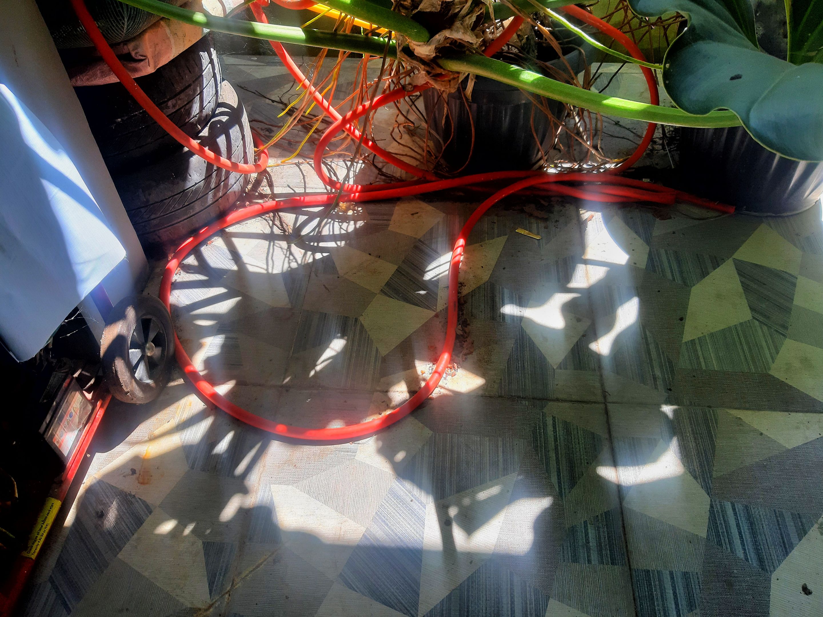 20241128_111211-01.jpeg