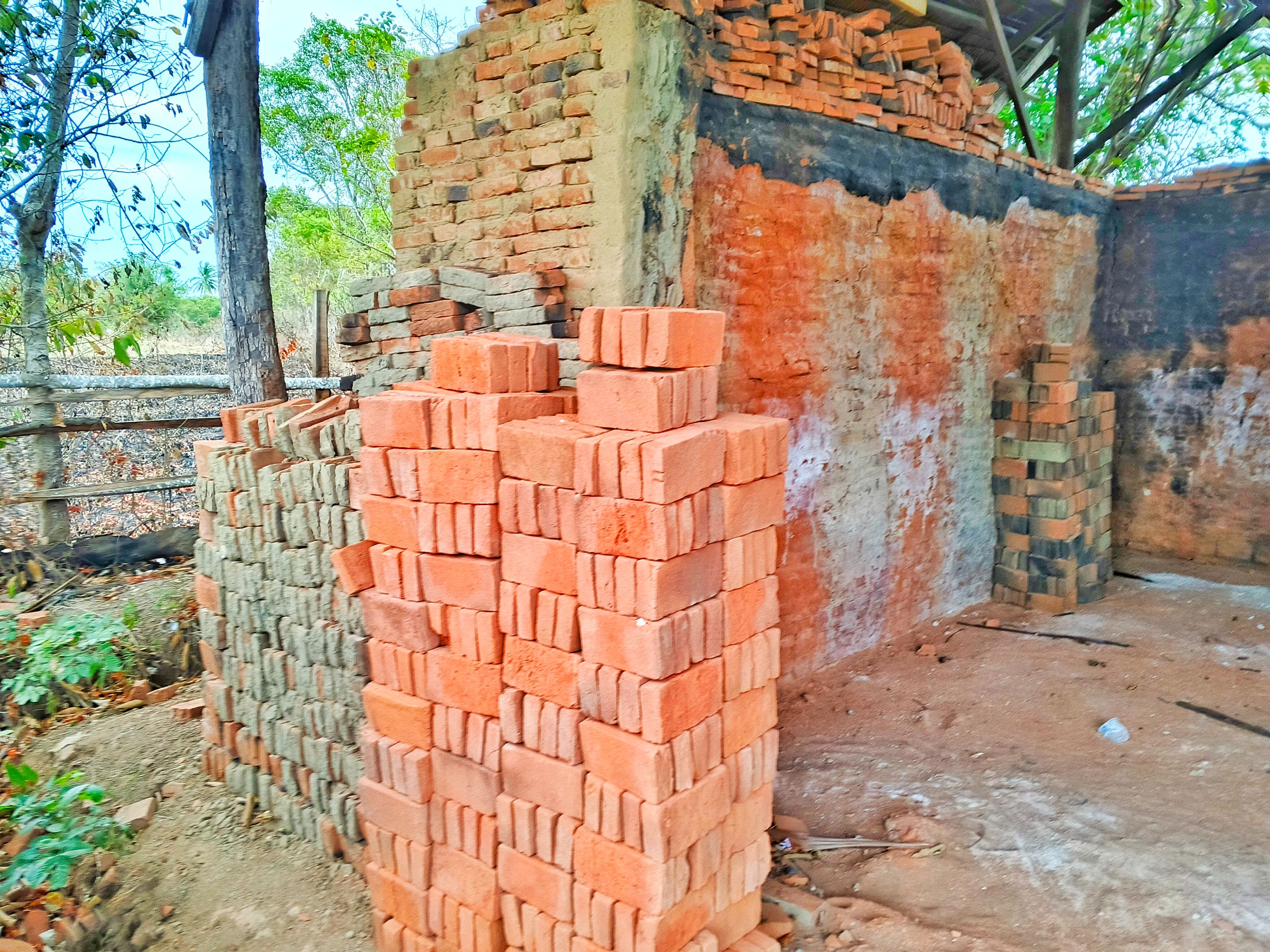 1000081968.jpg