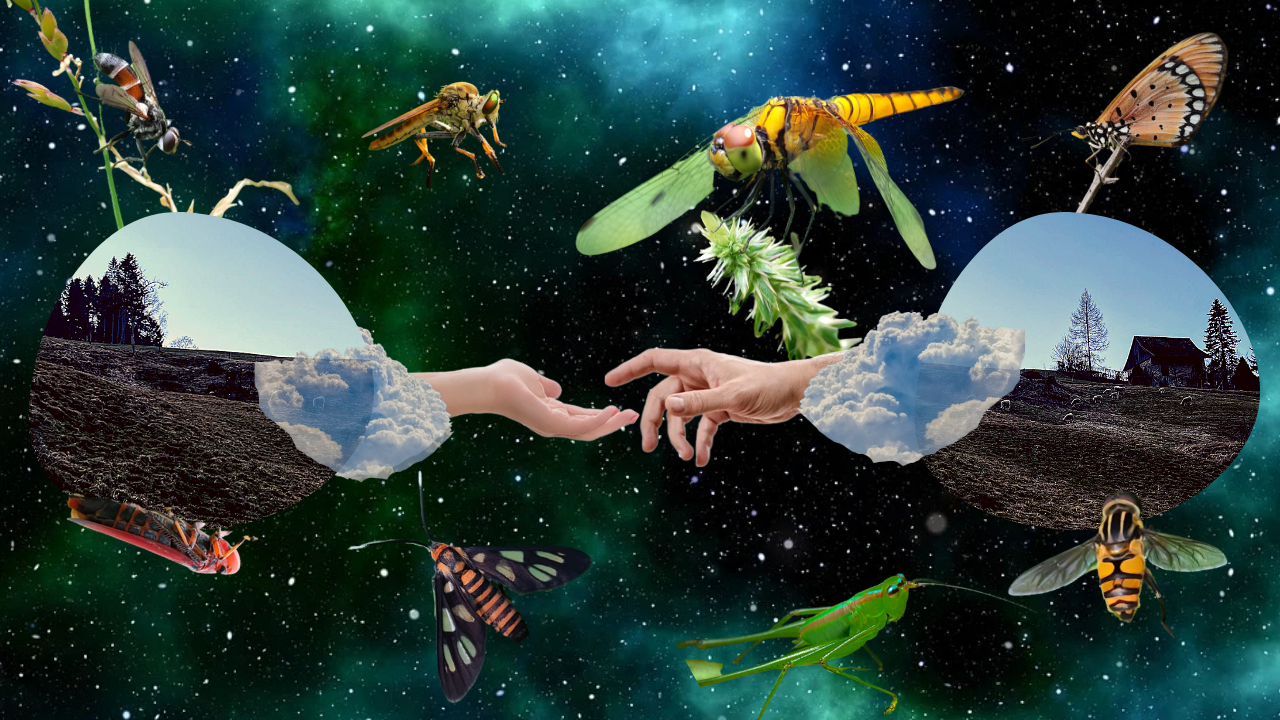 Love Birds (51).png