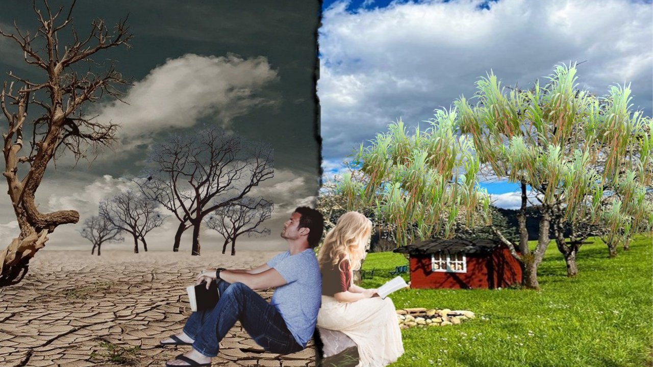 Love Birds (56).png