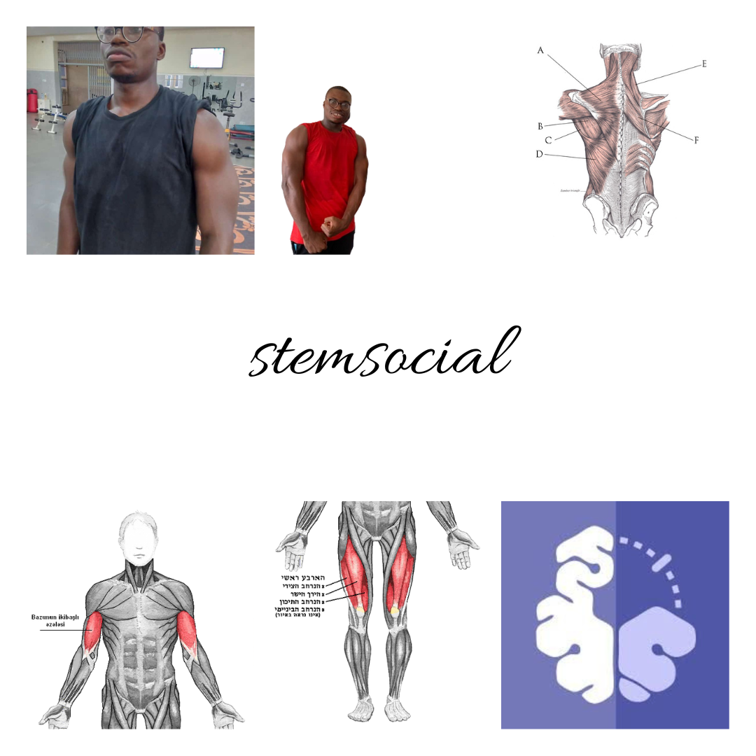 stemsocial (13).png