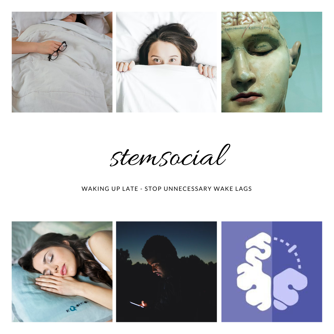 stemsocial (7).png