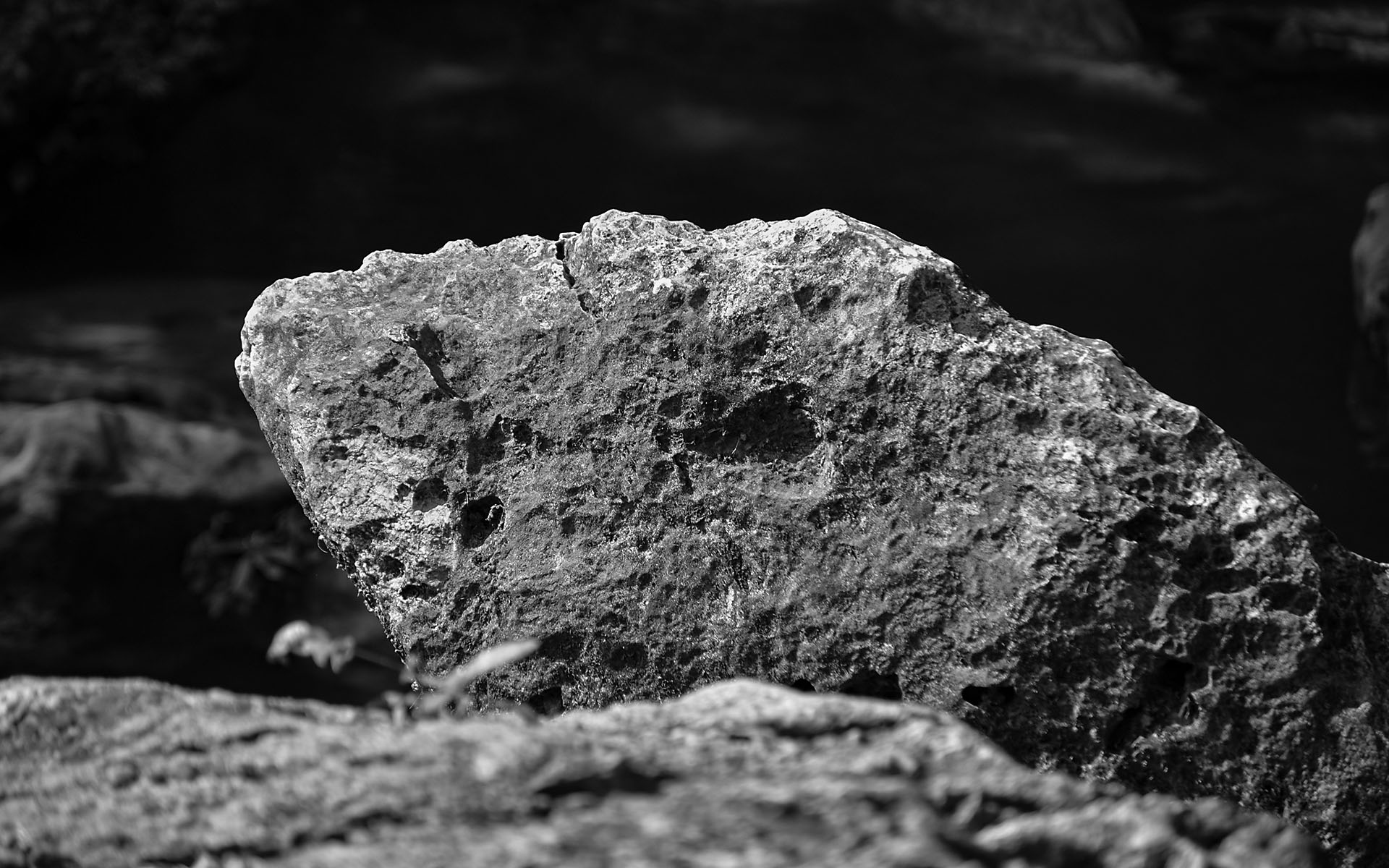 detalle 07.jpg