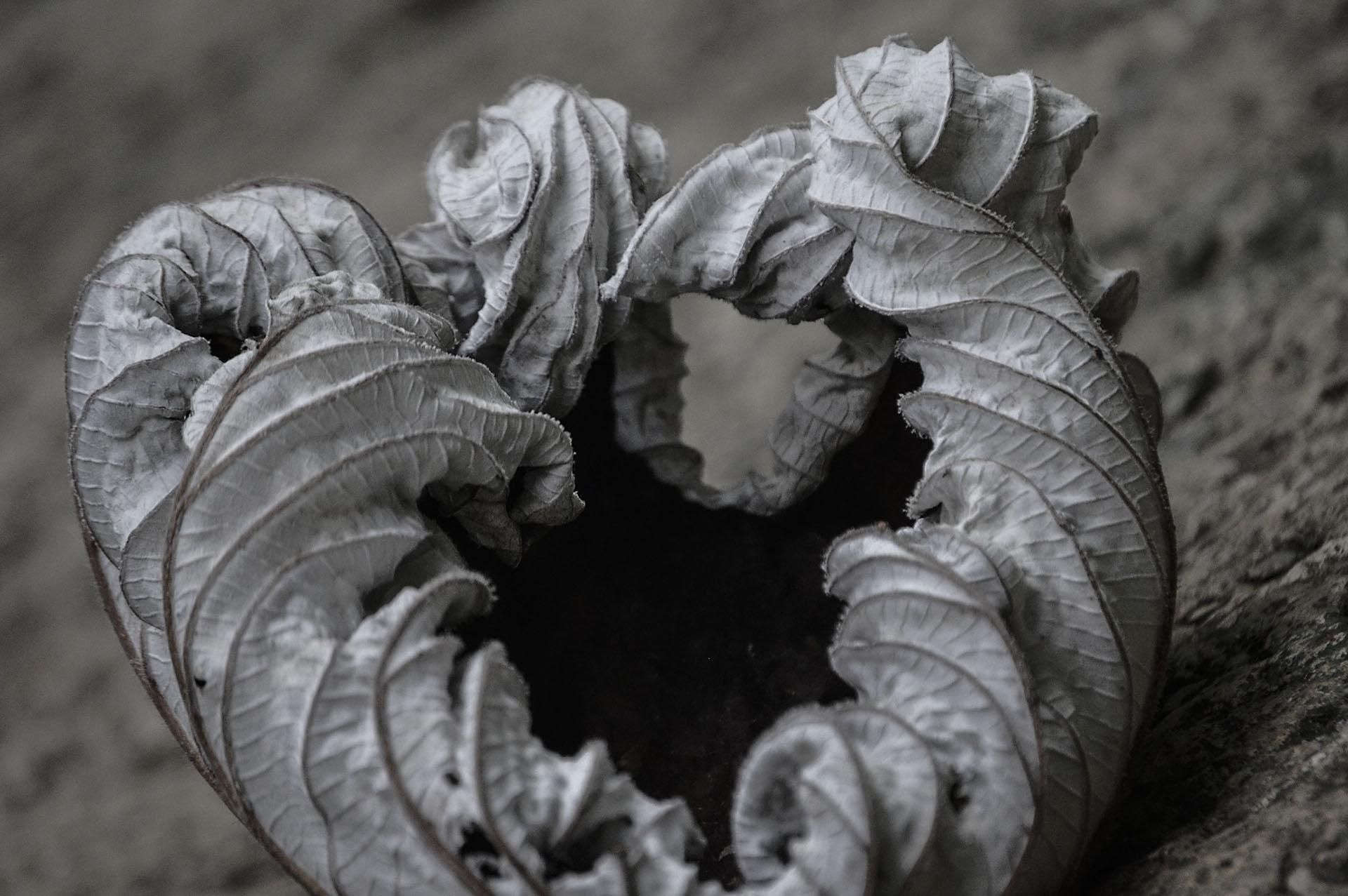 detalle 09.jpg