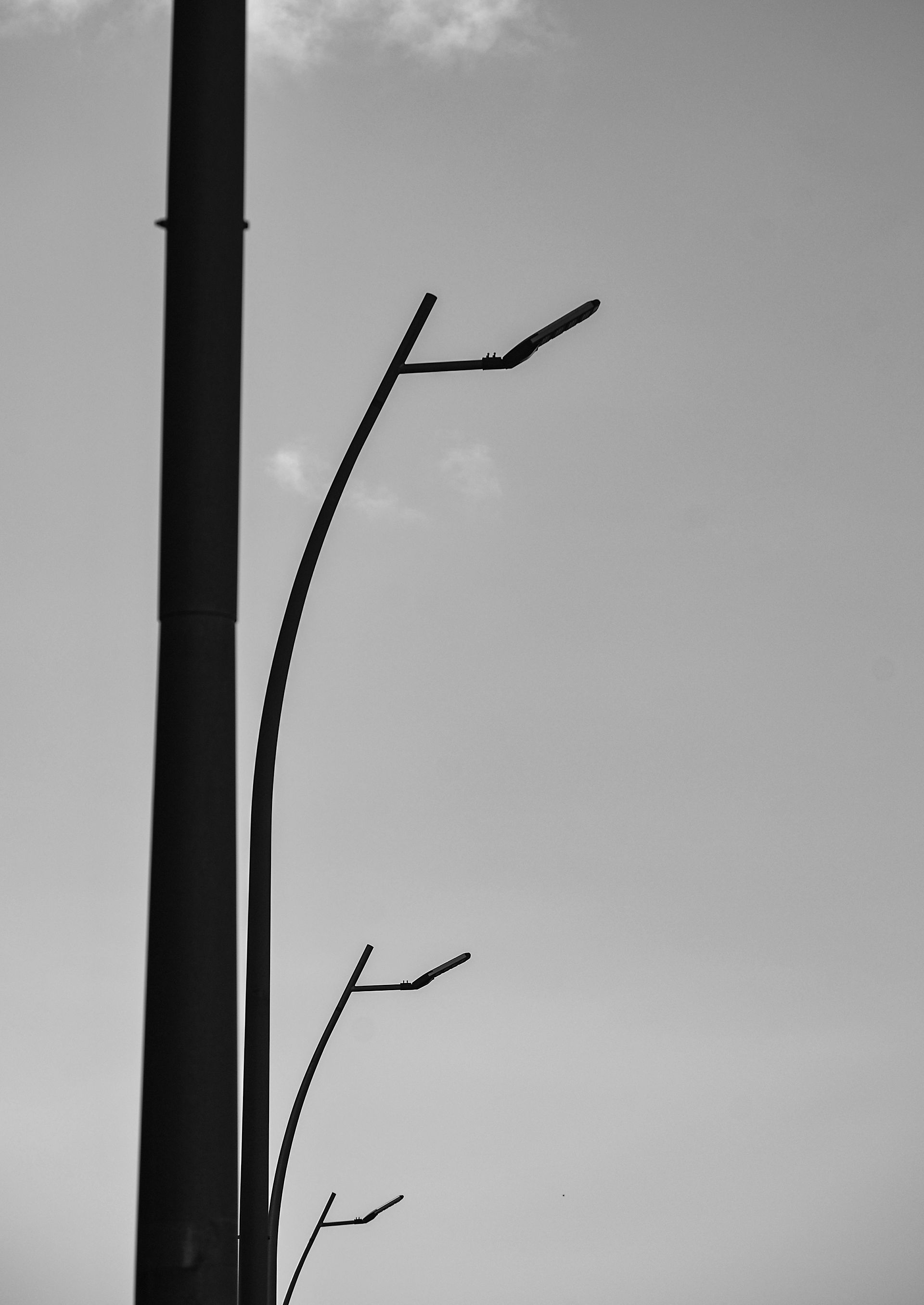 edif 04.jpg