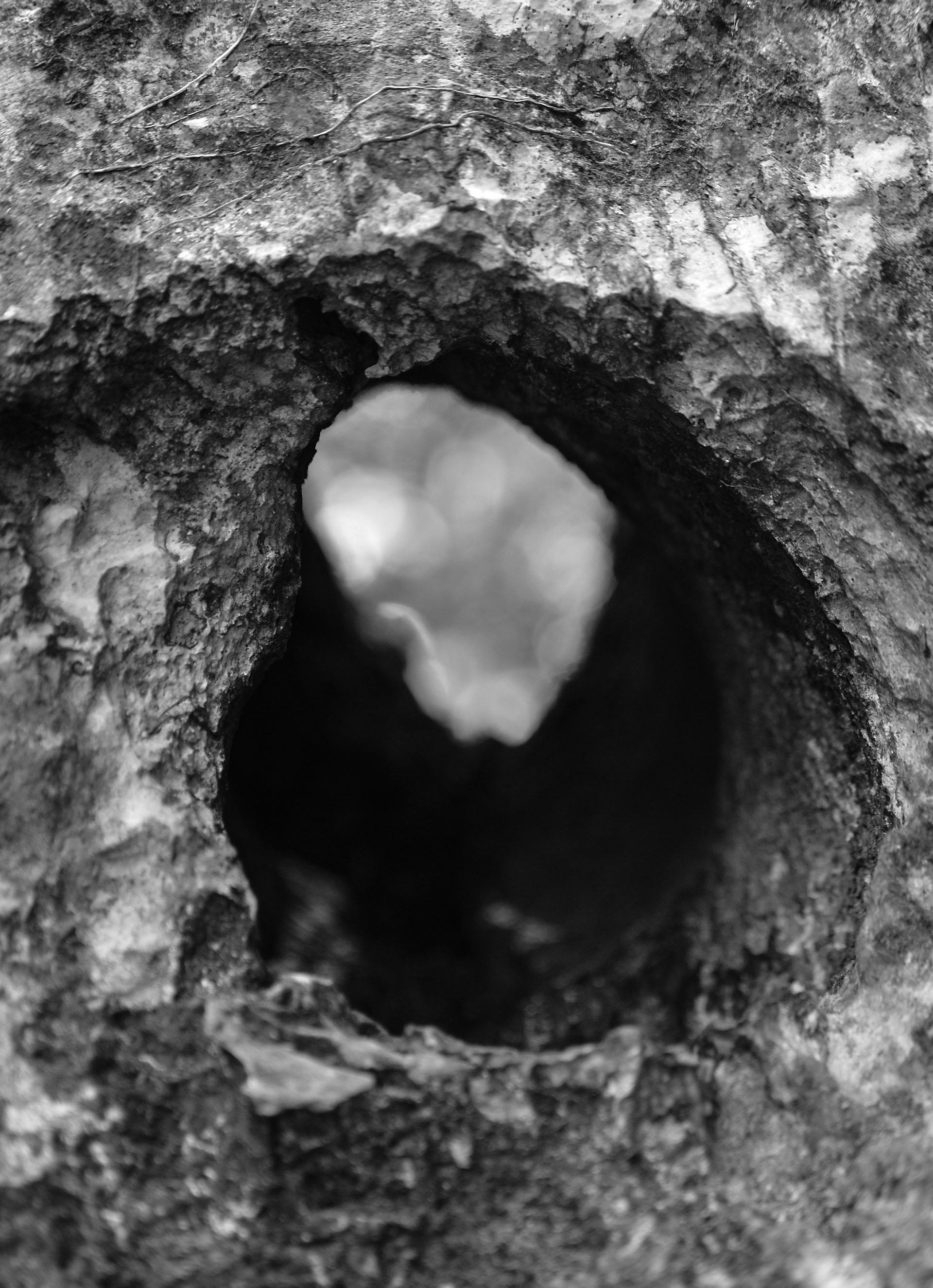 detalle 11.jpg