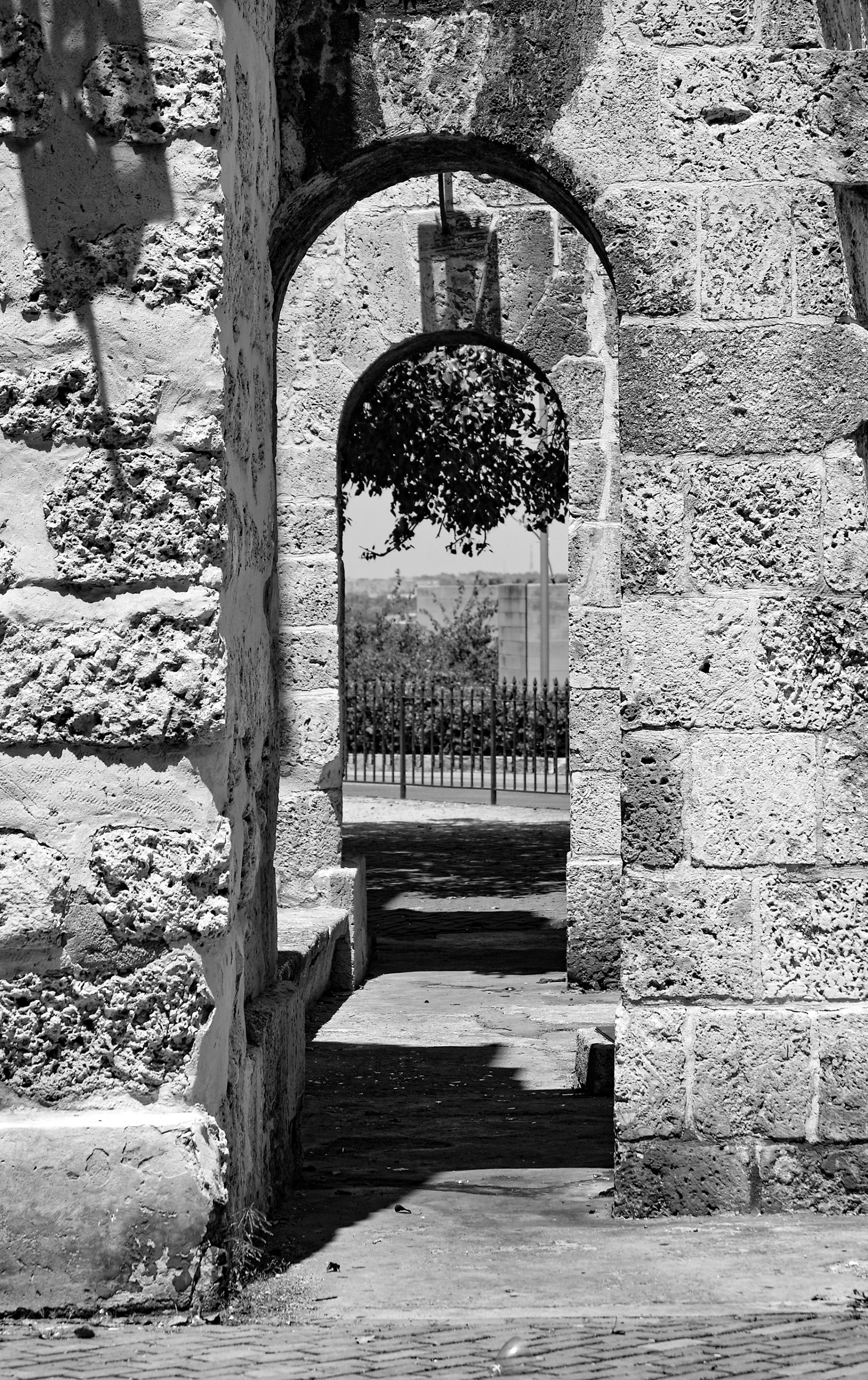bw 09.jpg
