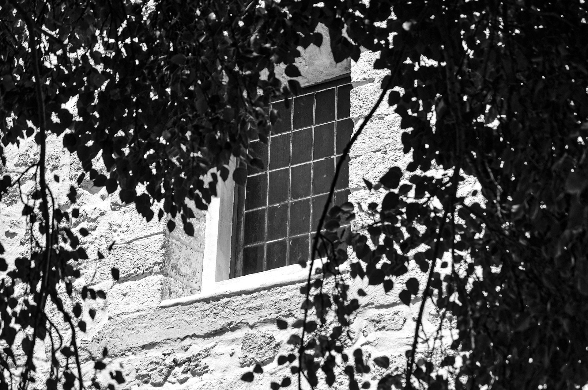 bw 08.jpg