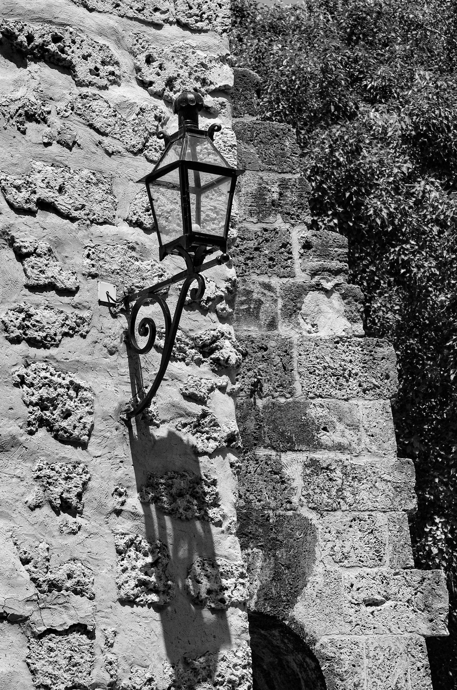 bw 07.jpg