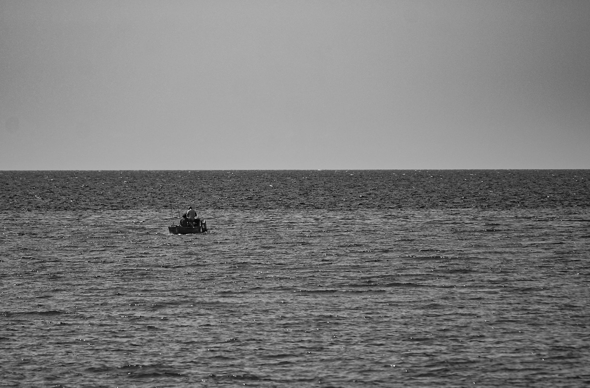 botes hab 02.jpg
