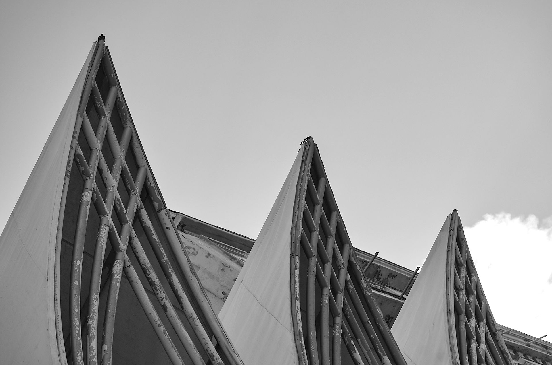 edif 01.jpg
