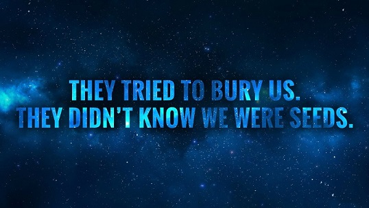 buryseeds.jpg