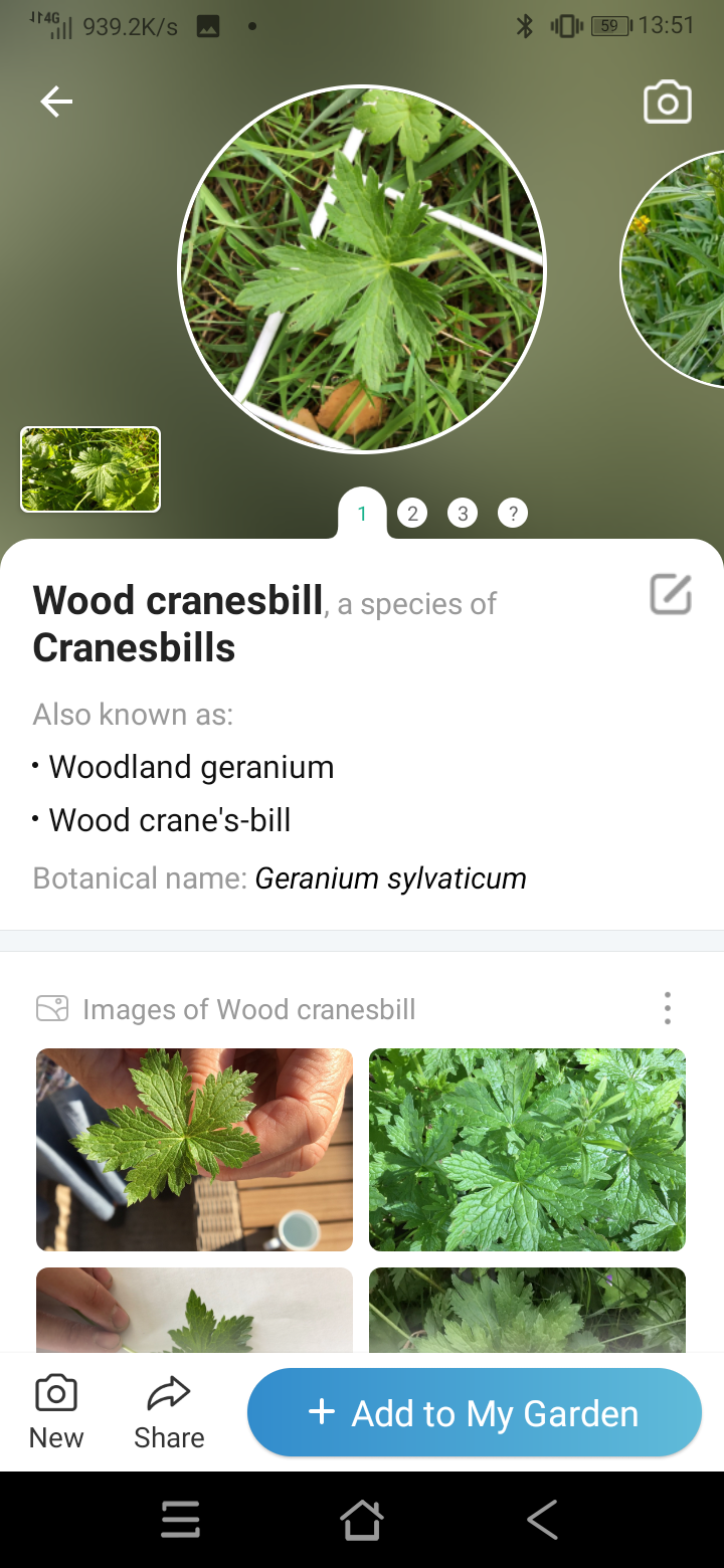Screenshot_20211102-135147.png