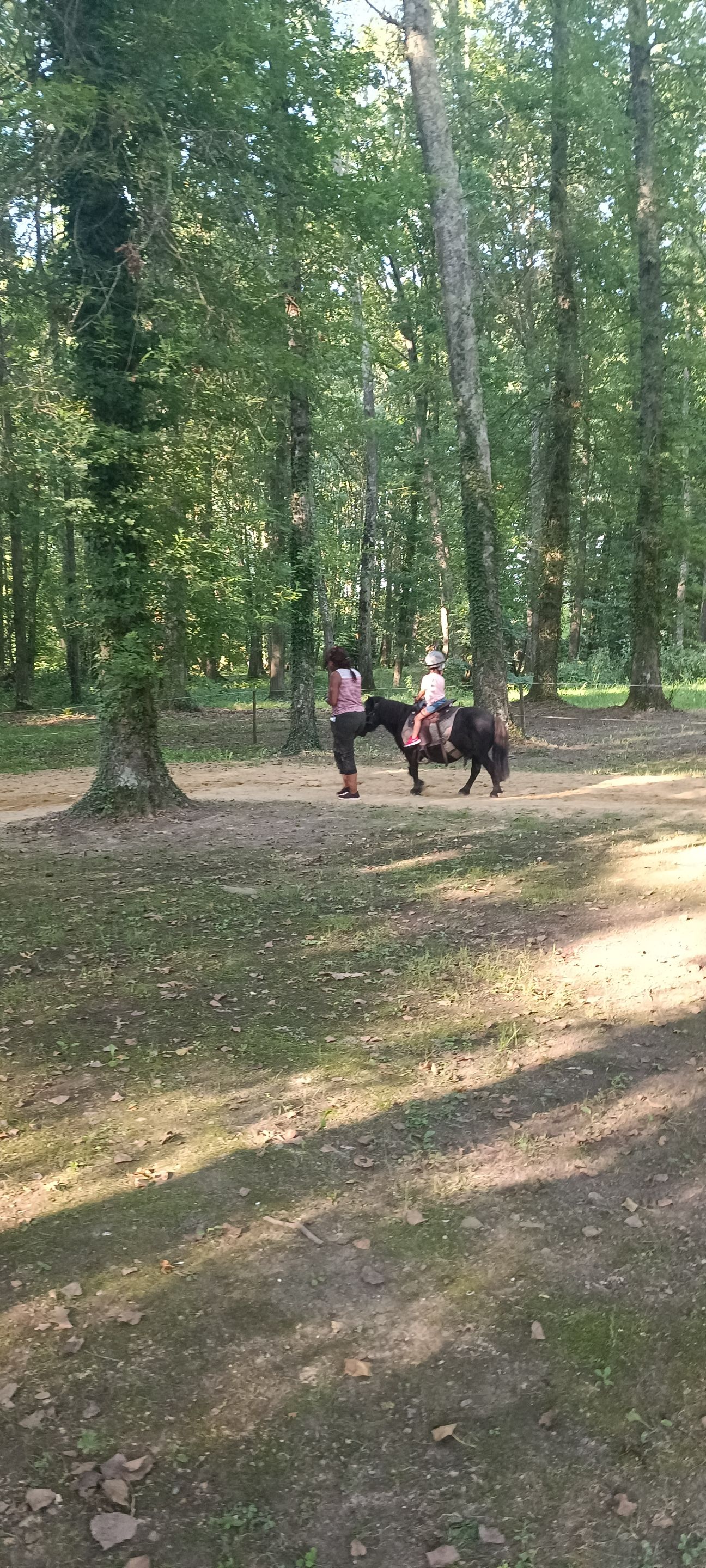 IMG_20230820_184204.jpg