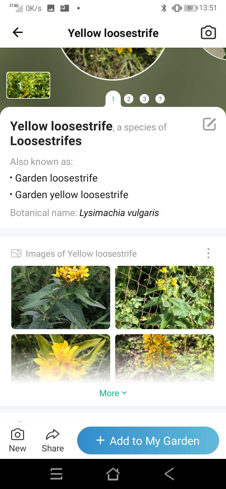 Screenshot_20211102-135121.png