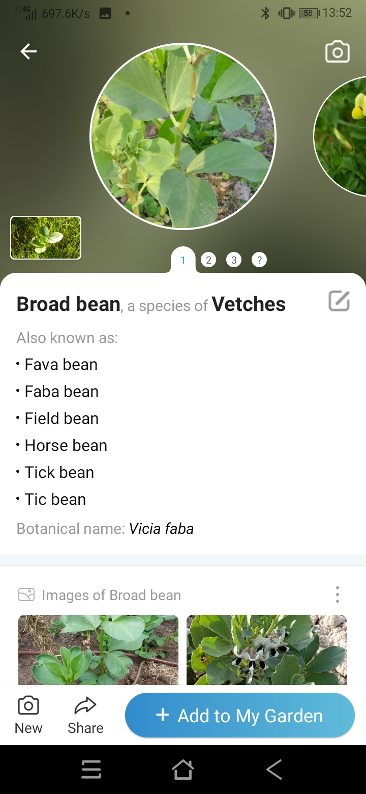Screenshot_20211102-135250.png