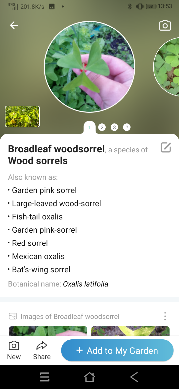 Screenshot_20211102-135330.png