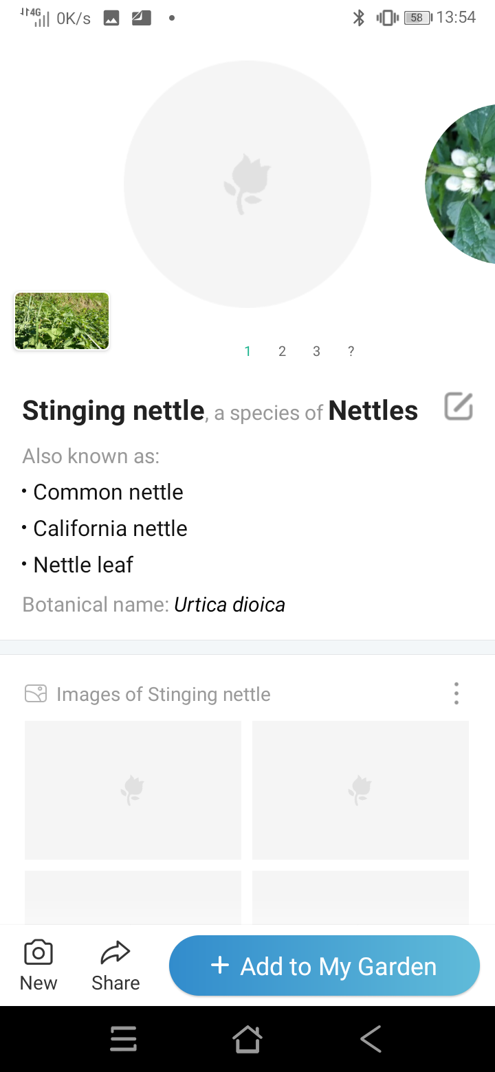Screenshot_20211102-135439.png