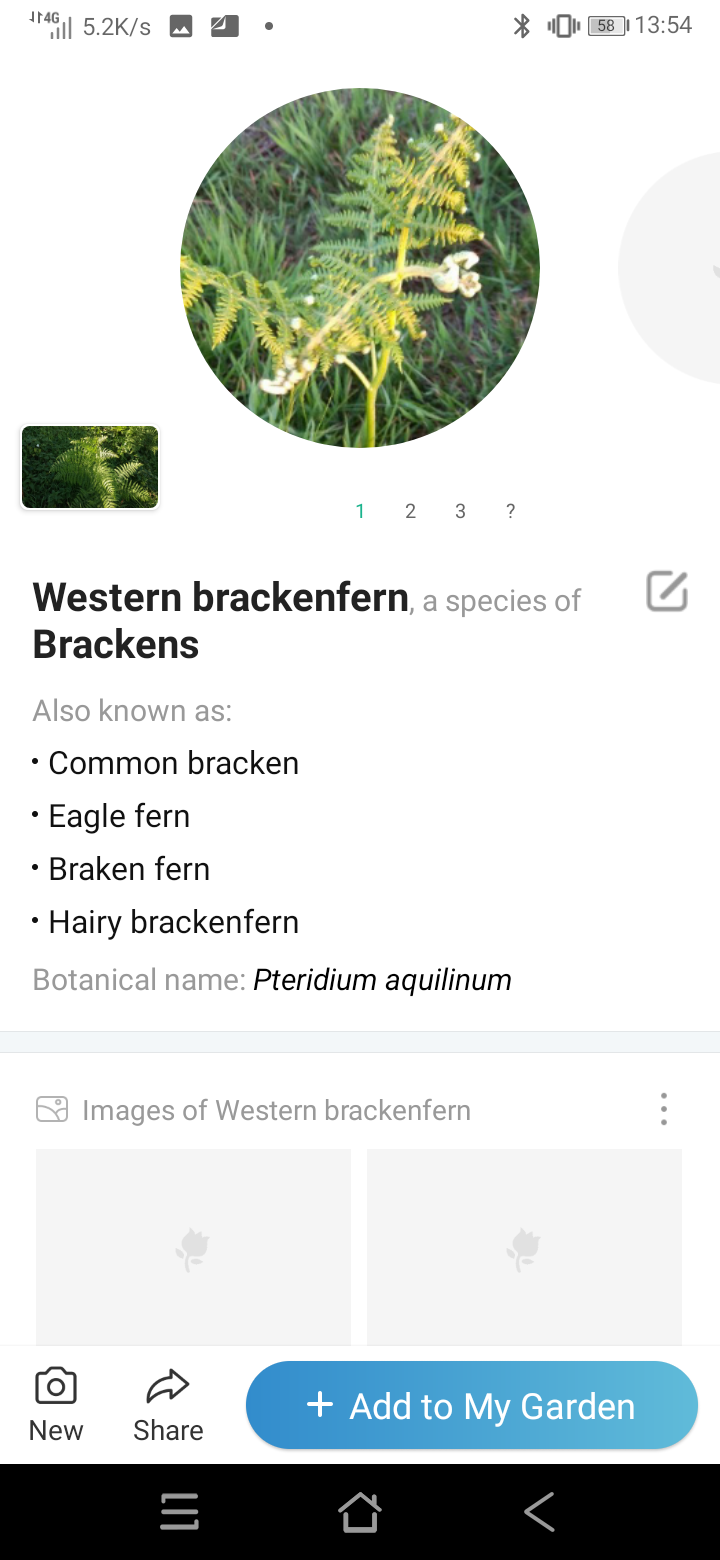 Screenshot_20211102-135414.png