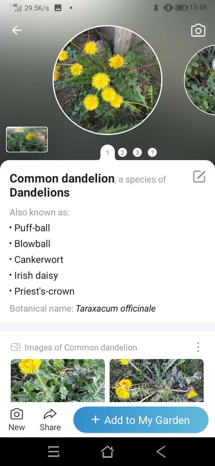 Screenshot_20211102-134954.png