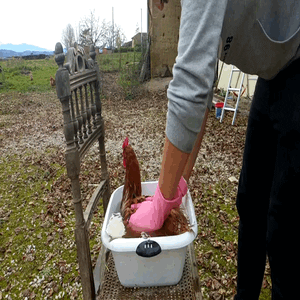 VID_20211225_153557_Trim (9).gif