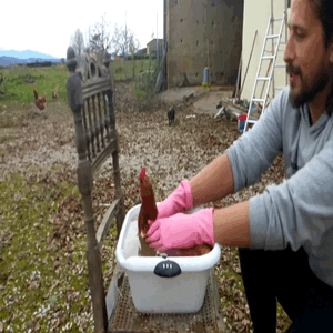 VID_20211225_153557_Trim (7).gif